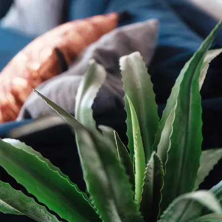 Collina D'oro By Quokka 360 - Relax In The Ticino Hills شقة لوغانو