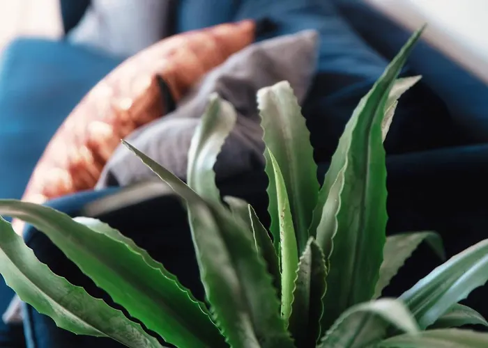 Collina D'oro By Quokka 360 - Relax In The Ticino Hills Apartment Lugano